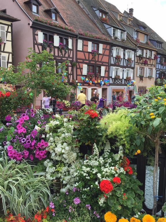 Les Appartements De Home Petite Venise Colmar Eksteriør bilde